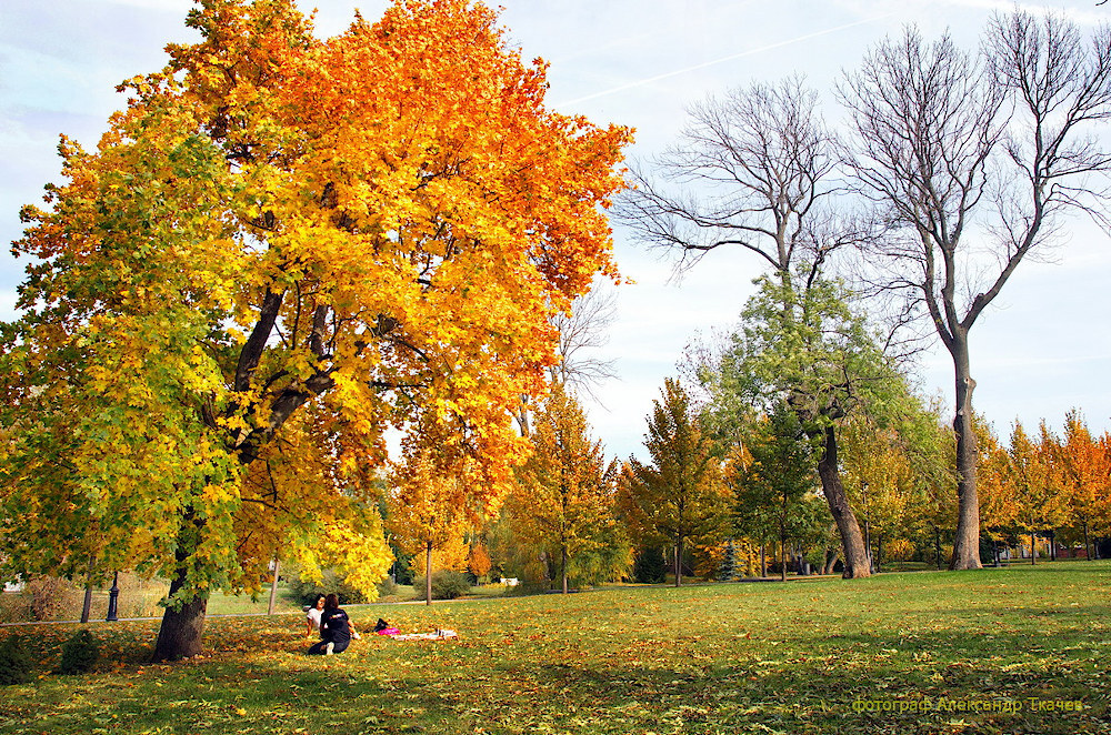 «Лесная промышленность» в имениях воронежских дворян Веневитиновых
