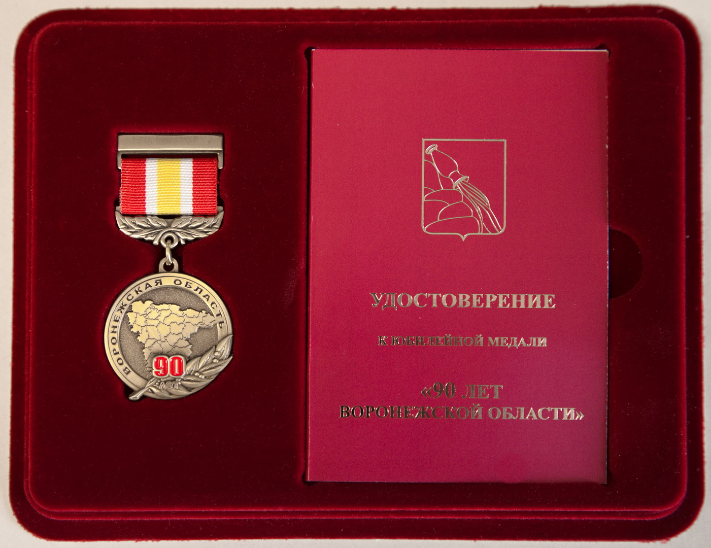 Медаль «90 лет Воронежской области»