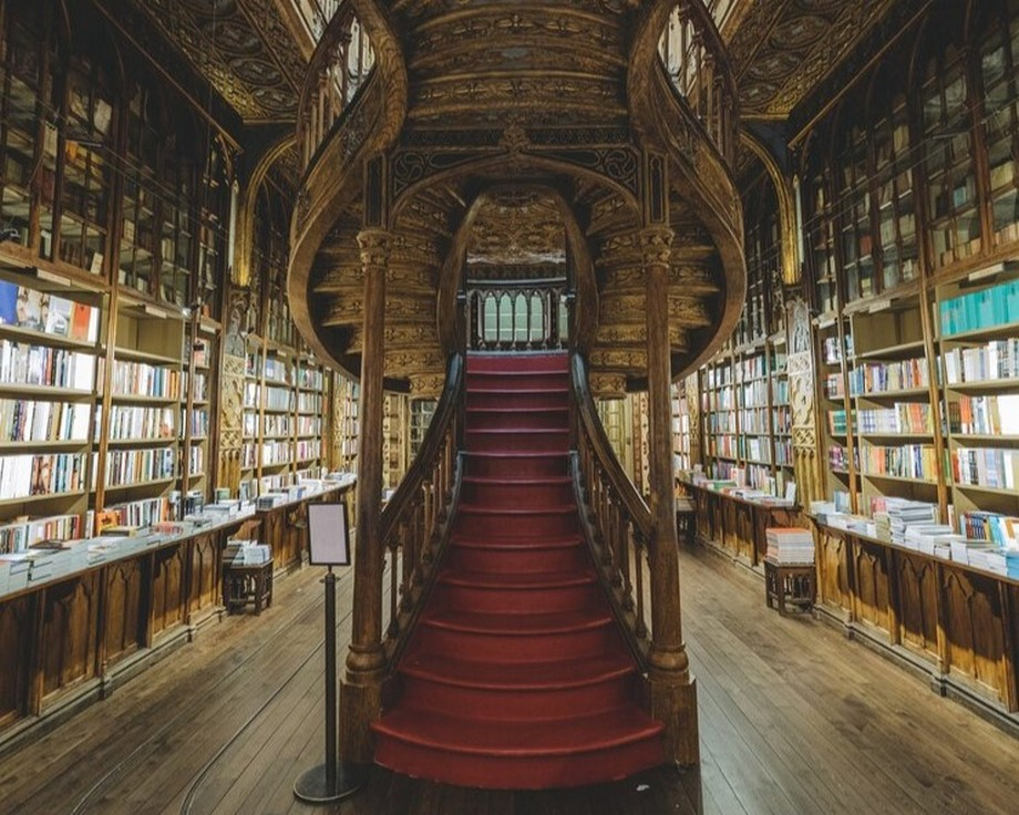 Игра «Хранители книг»