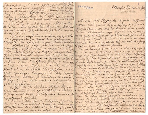 Письмо Марии Васильевны Эртель (урожденной Огарковой) к Александру Ивановичу Эртель 21.11.1889 г. Лист 1.