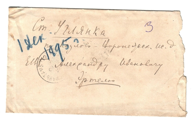 Конверт от письма Марии Васильевны Эртель (урожденной Огарковой) к Александру Ивановичу Эртель 01.12.1895 г.