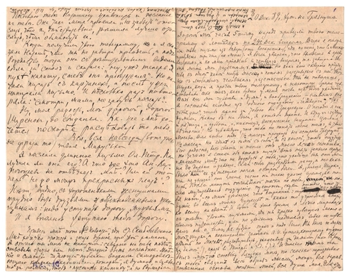 Письмо Марии Васильевны Эртель (урожденной Огарковой) к Александру Ивановичу Эртель 20.12.1889 г