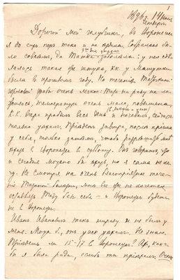 Письмо Марии Васильевны Эртель (урожденной Огарковой) к Александру Ивановичу Эртель 14.11.1896 г
