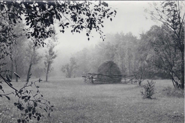 Фотооткрытка. «Пейзаж в окрестностях Воронежа» (из набора «На родине И.С. Никитина»).