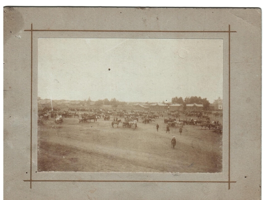 Фотография: Конская ярмарка в Пензе, июнь 1898 г. (надпись на обороте). На паспарту.