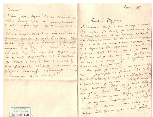 Письмо Марии Васильевны Эртель (урожденной Огарковой) к Александру Ивановичу Эртель 12.10.1895 г