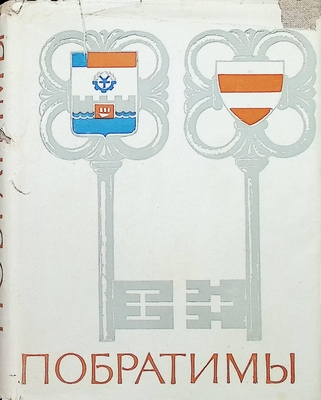 Книга.  Побратимы