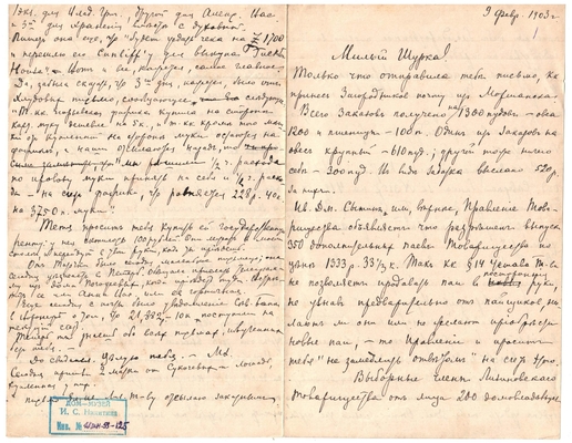 Письмо Марии Васильевны Эртель (урожденной Огарковой) к Александру Ивановичу Эртель 09.02.1903 г