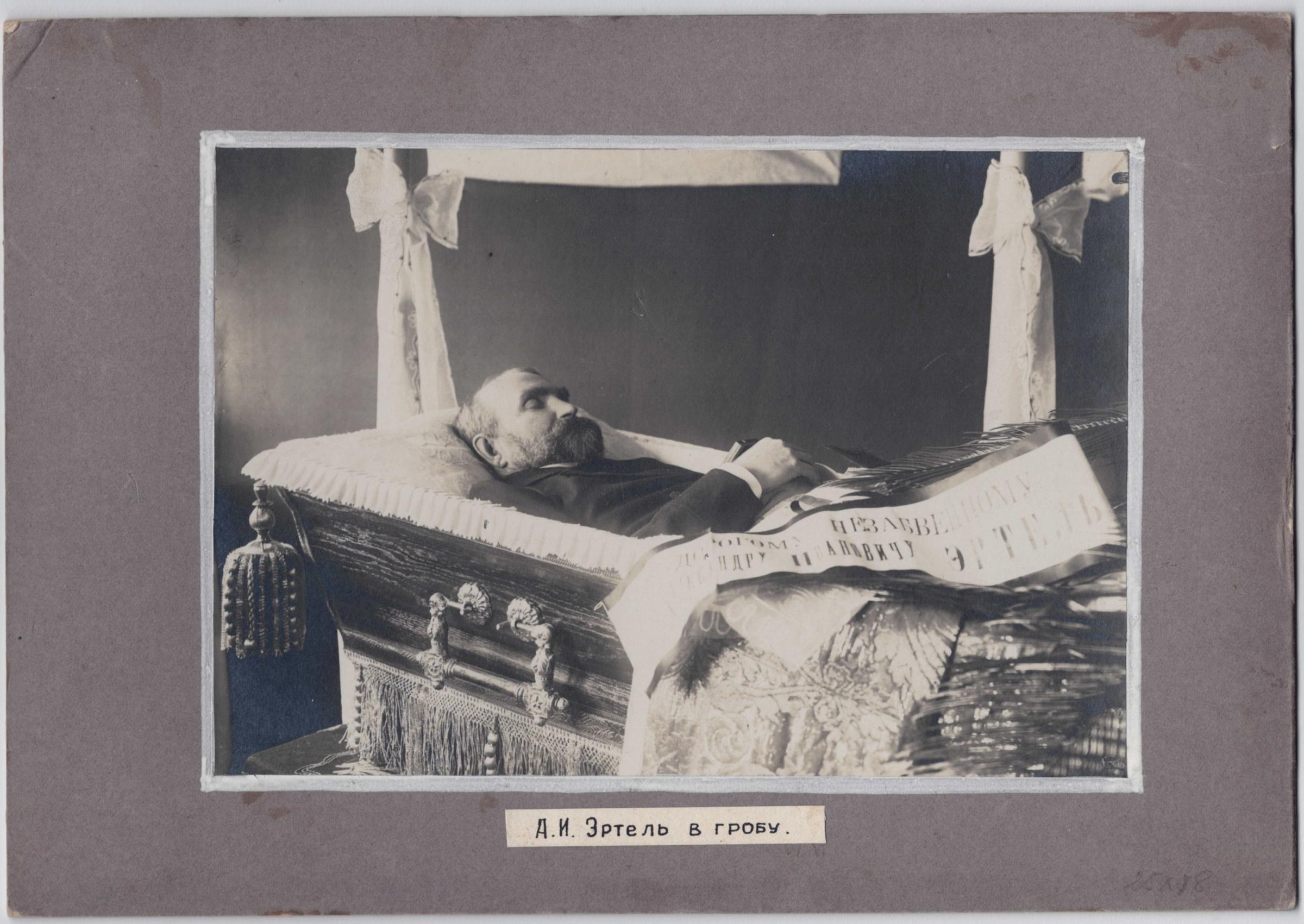 Экспонат - фото 1