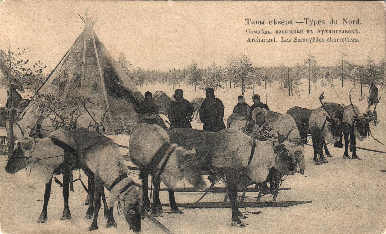 Экспонат - фото 1