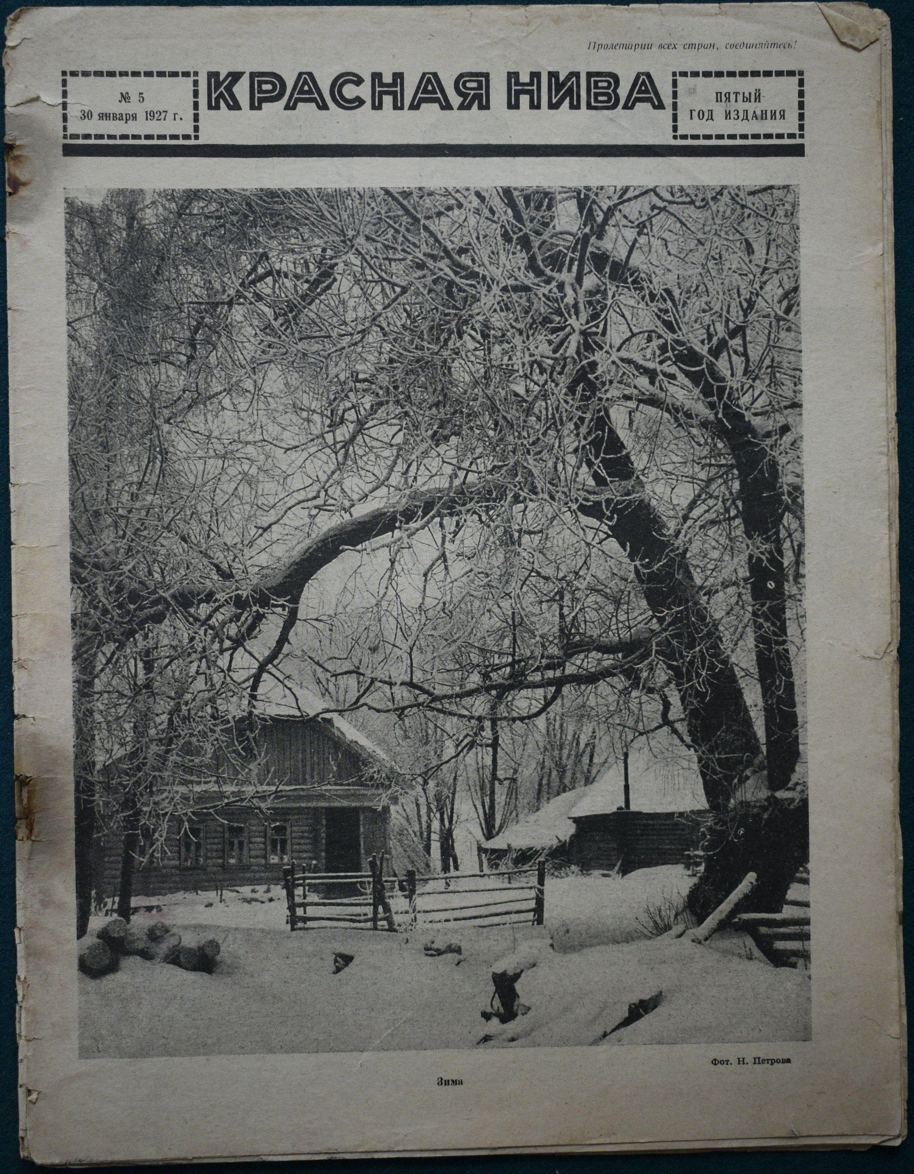 Экспонат - фото 1