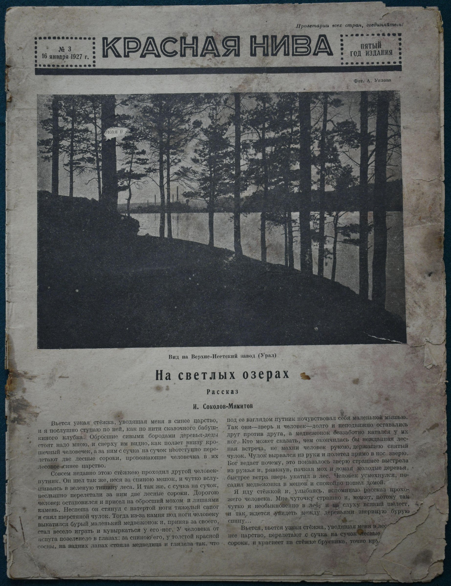 Экспонат - фото 1