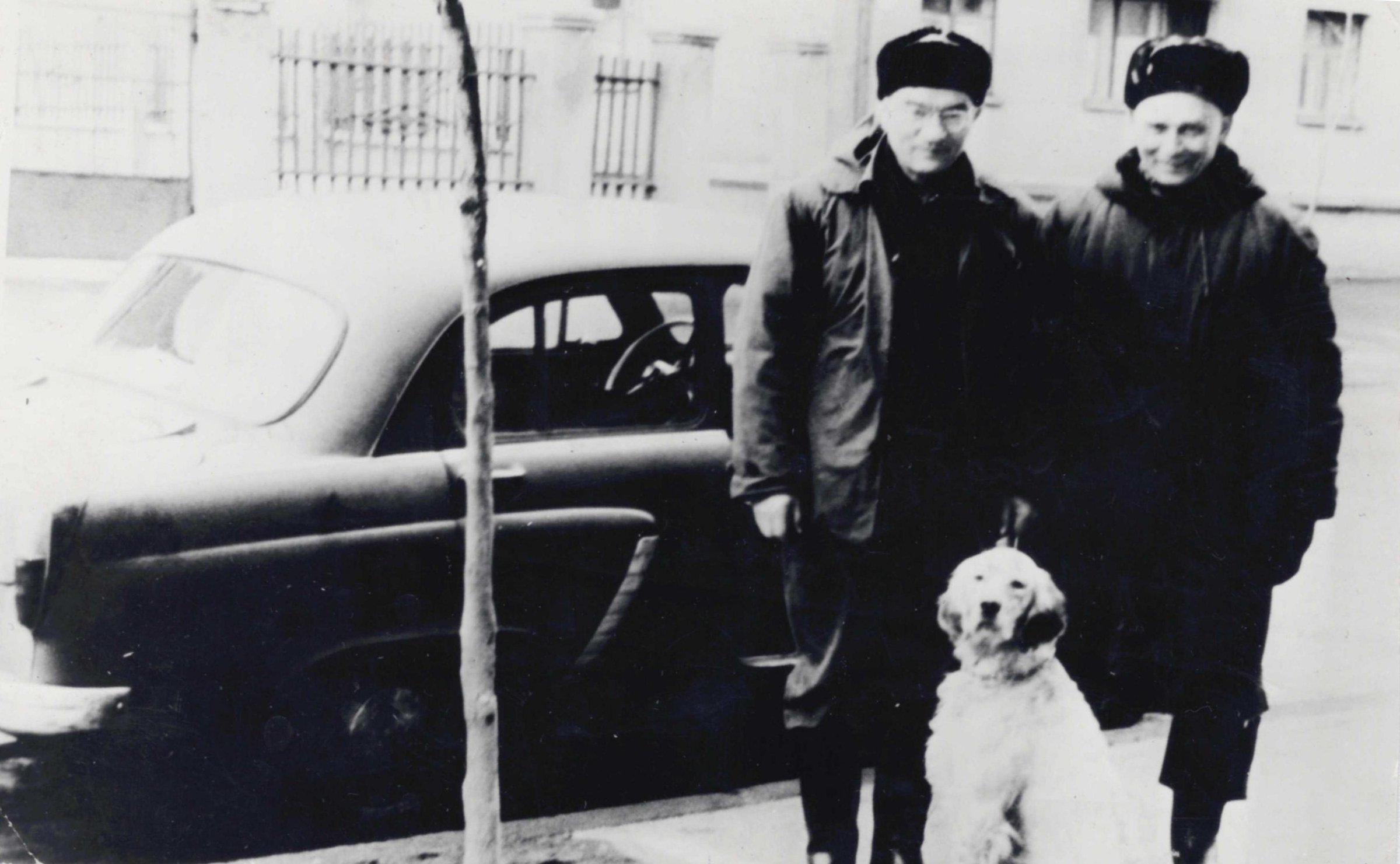 Экспонат - фото 1