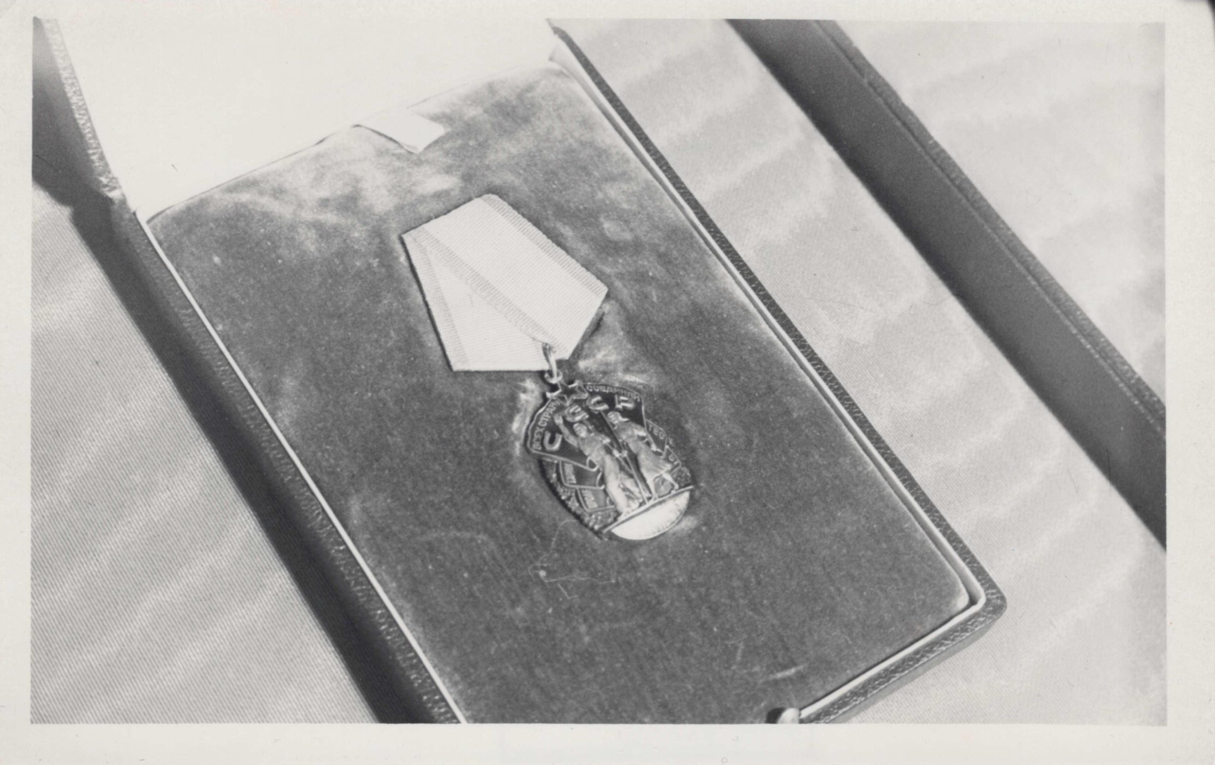 Экспонат - фото 1