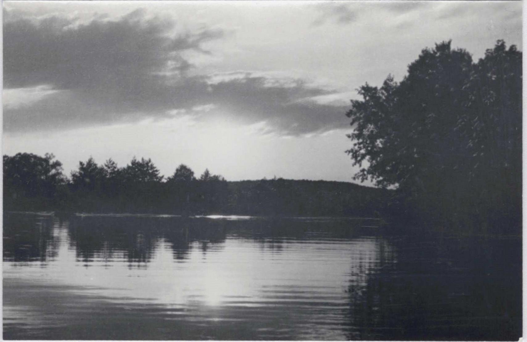 Экспонат - фото 1